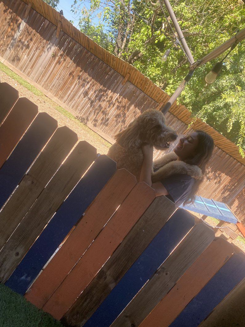 Two dogs are standing next to each other on a wooden fence.