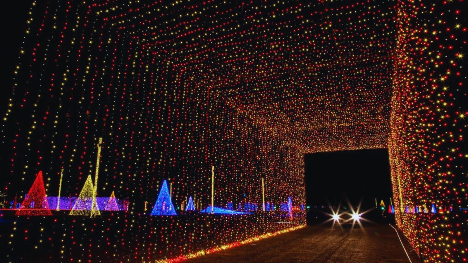 Evening seasonal event with lights
