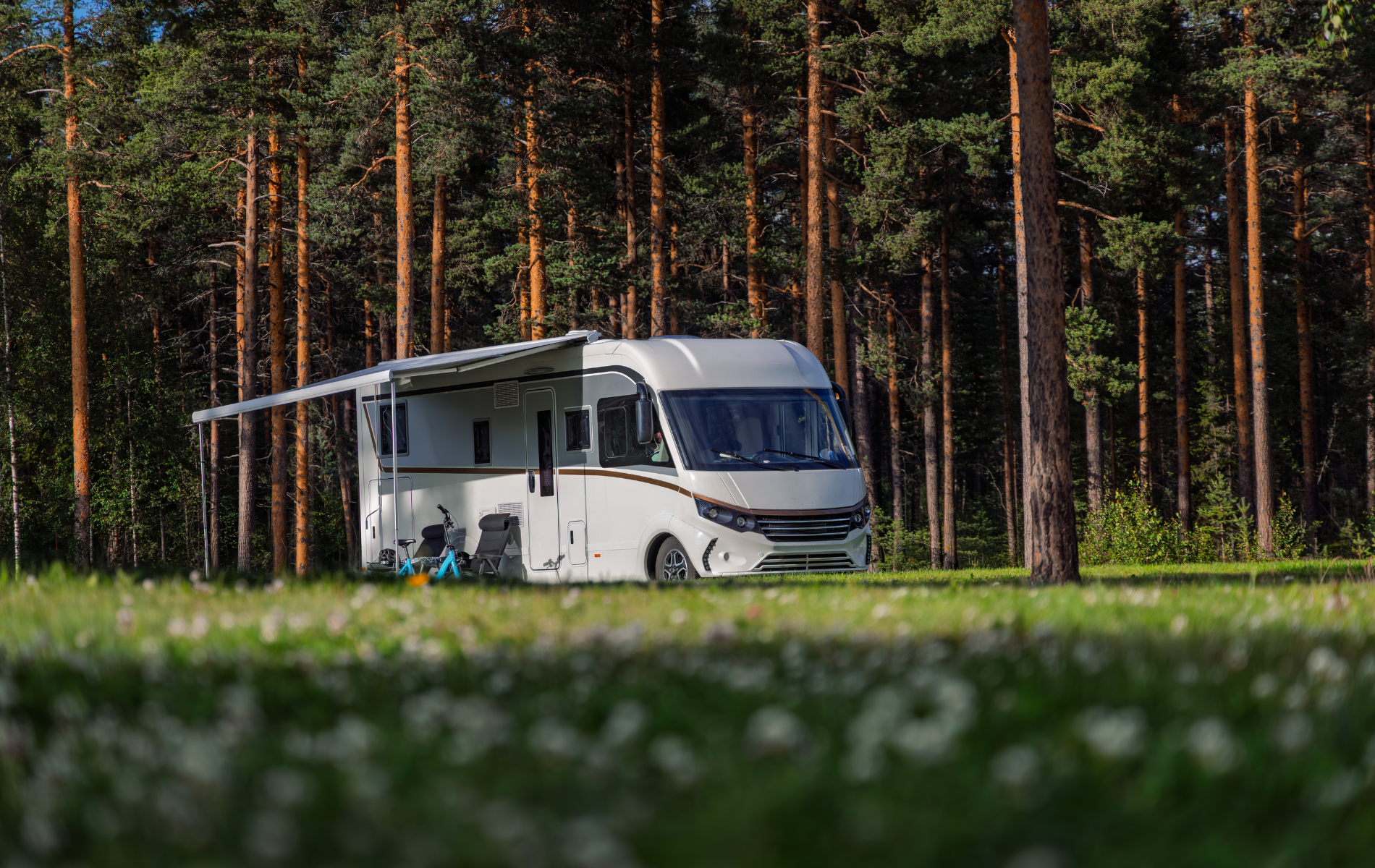 A modern white camper van with an extended awning parked in a grassy clearing bordered by a pine forest.