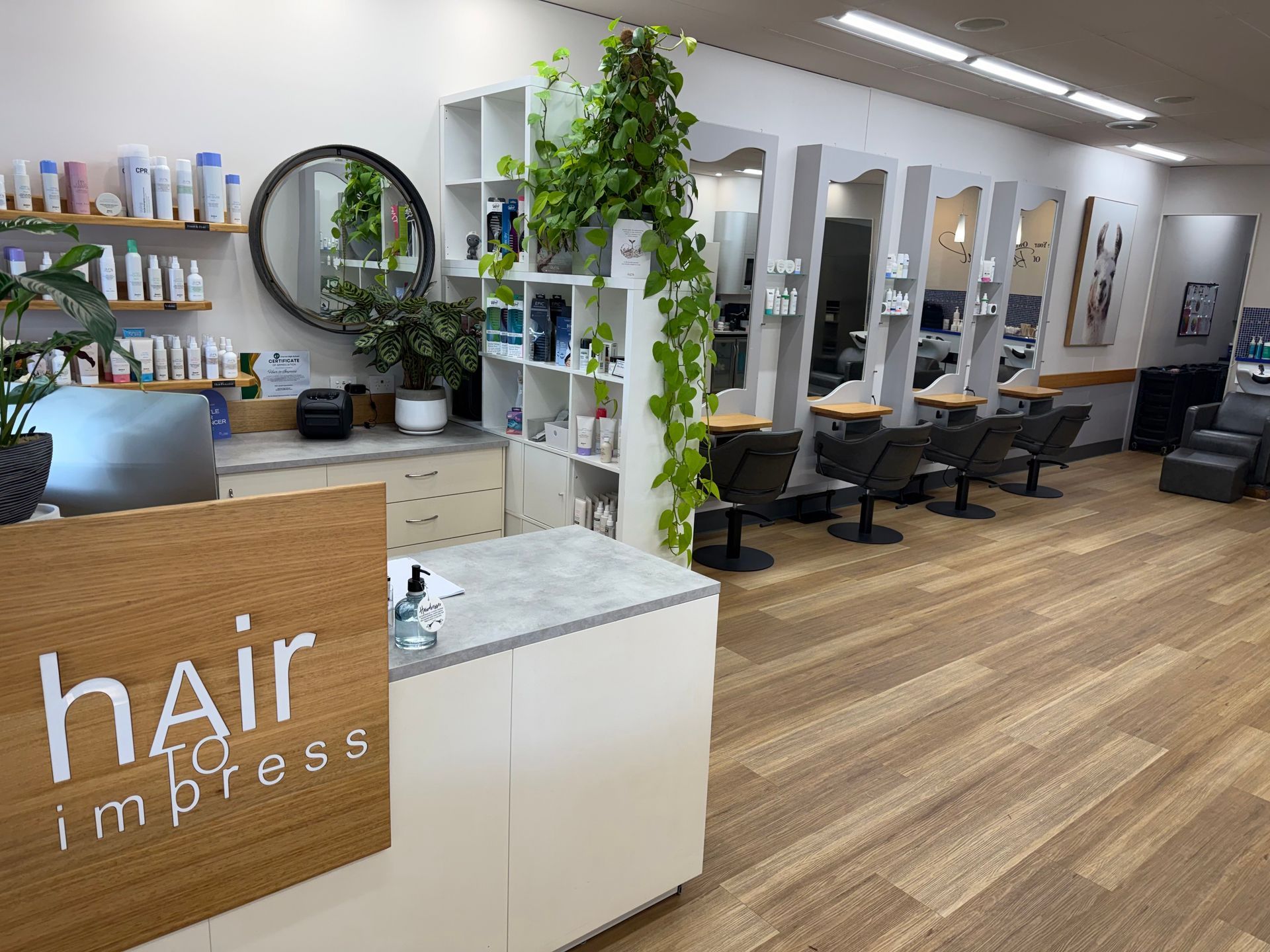 An Interior View of a Hair Salon With Four Styling Stations — Hair to Impress In Lisarow, NSW