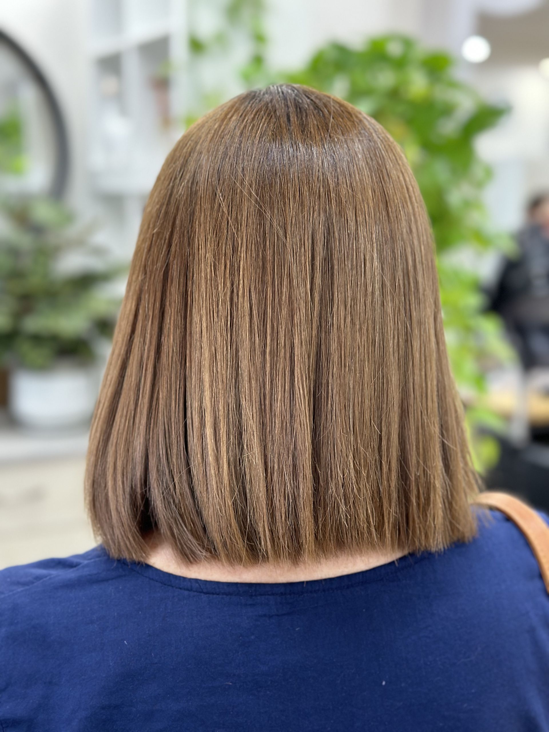 Back view of a short brown bob haircut in a salon, with blurred green plants in the background