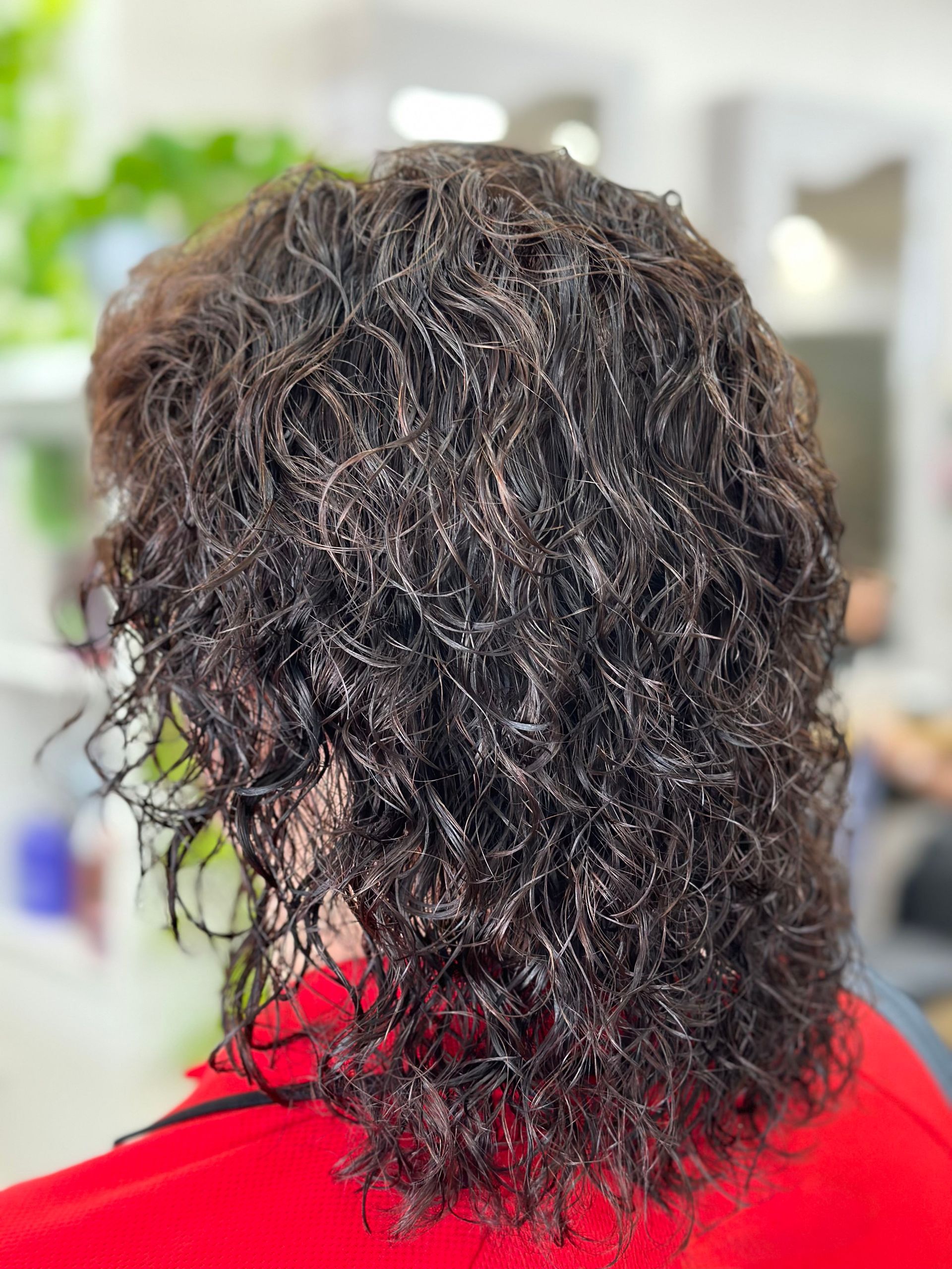 Back view of curly dark hair over a red shirt in a blurred indoor setting