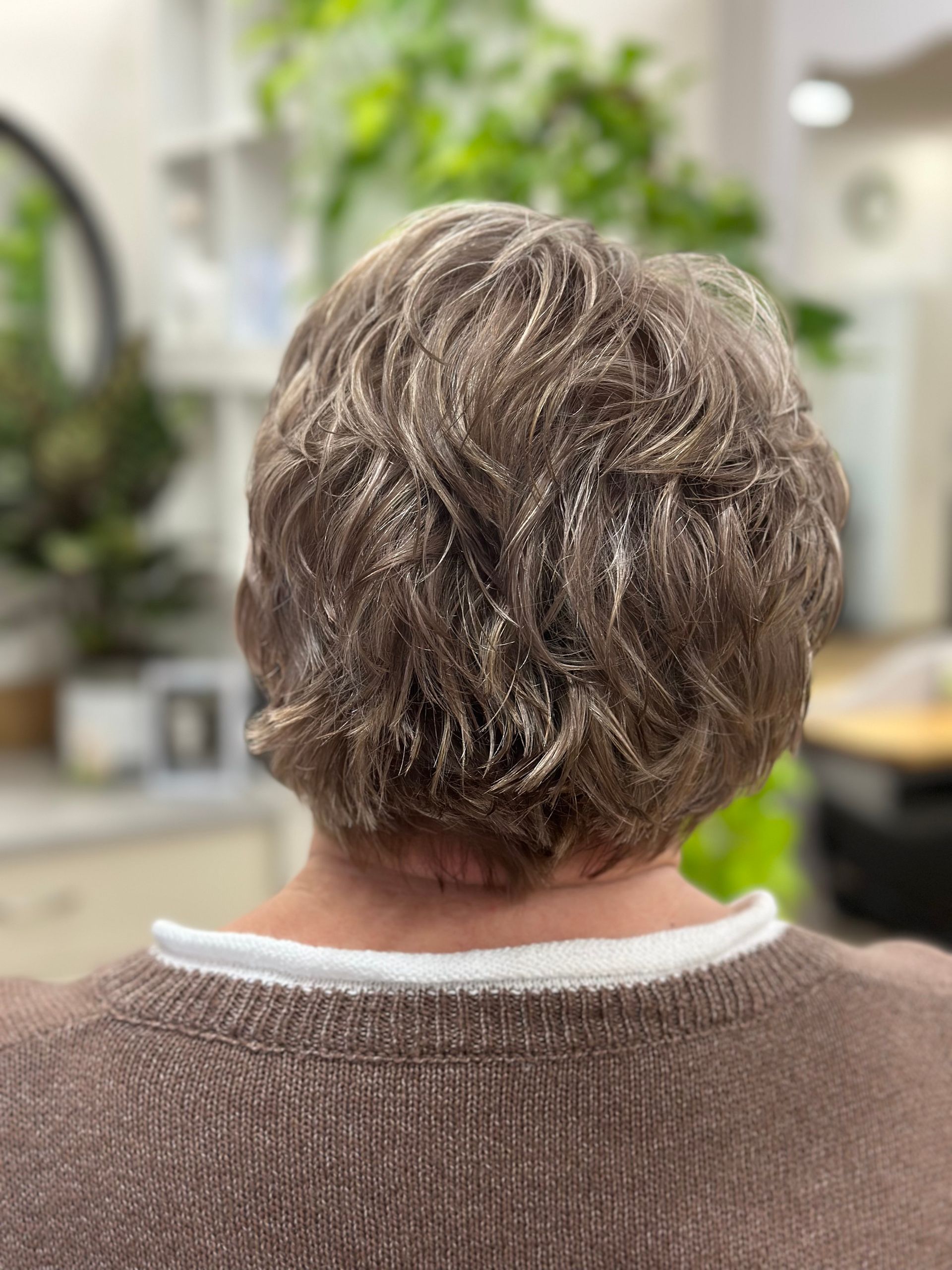 Back of a person with short gray hair in a brown sweater, seated indoors near plants.