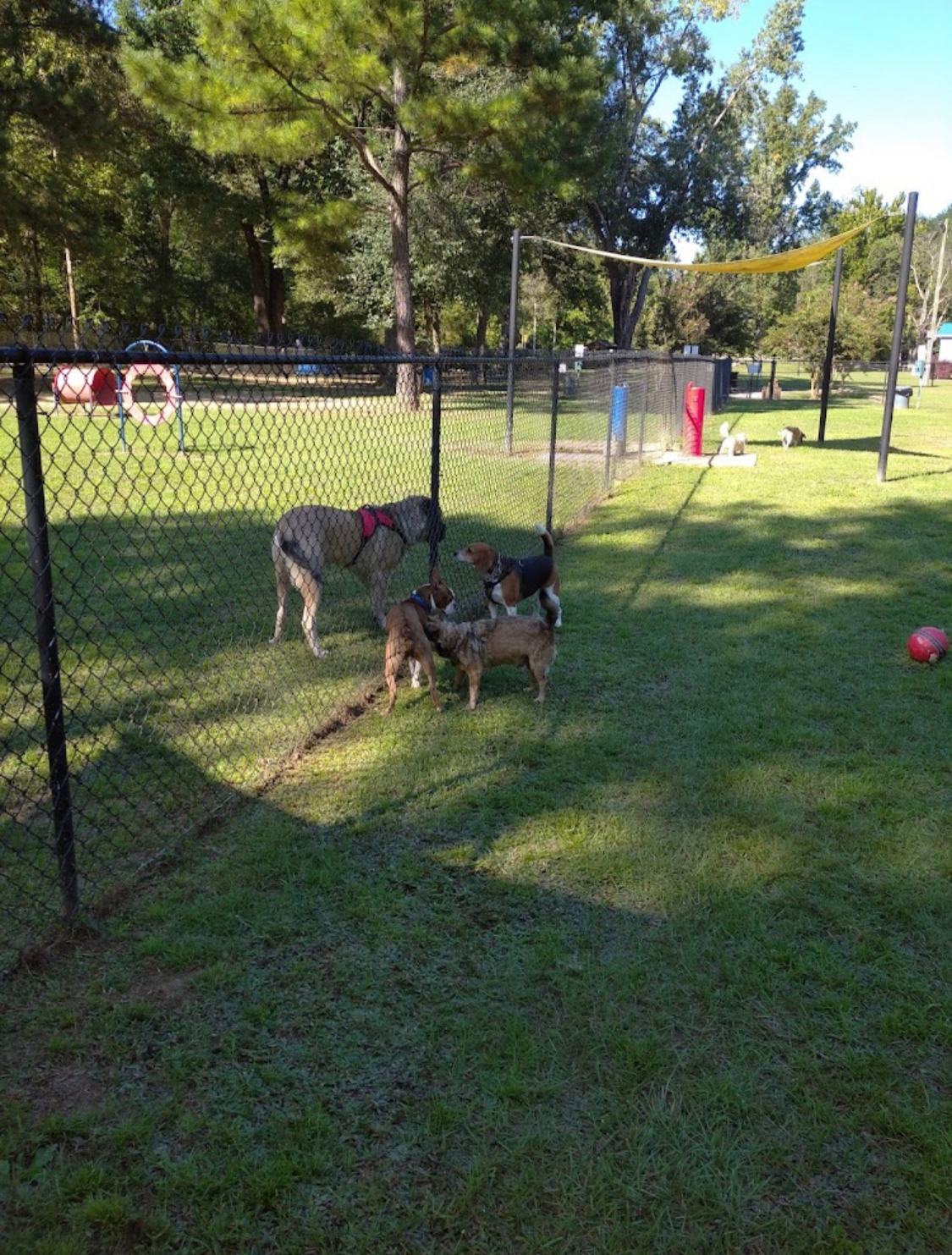 black-creek-dog-park