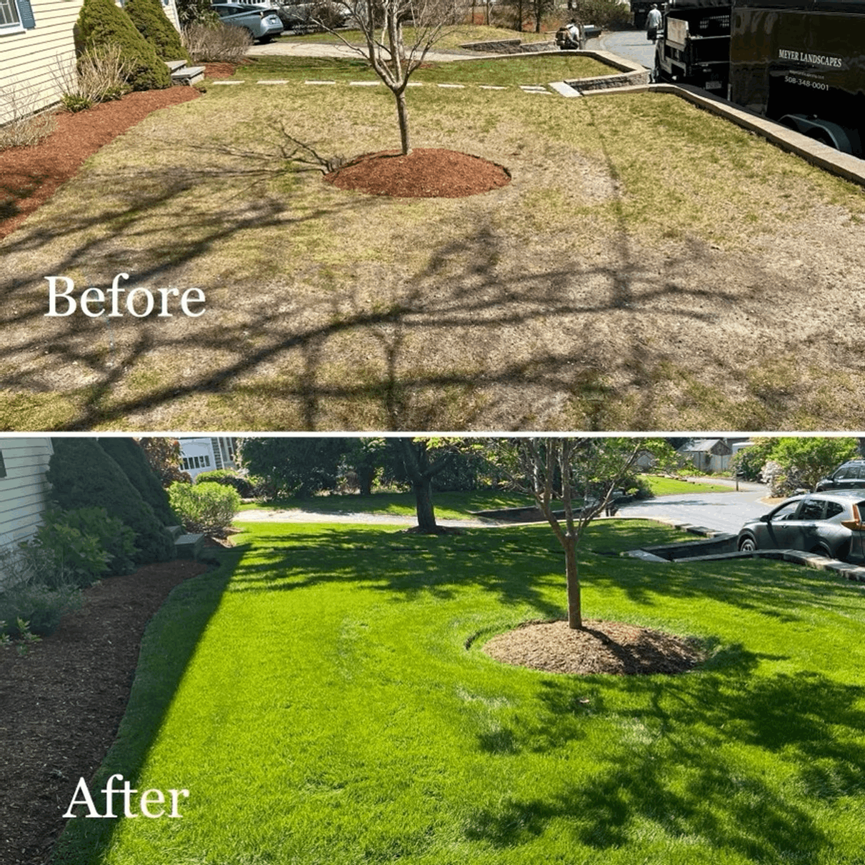 A before-and-after comparison of a residential lawn, showing a dry, brown yard transformed into a lush, vibrant green one.