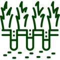 Lawn Aeration Icon