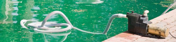 Pool Service