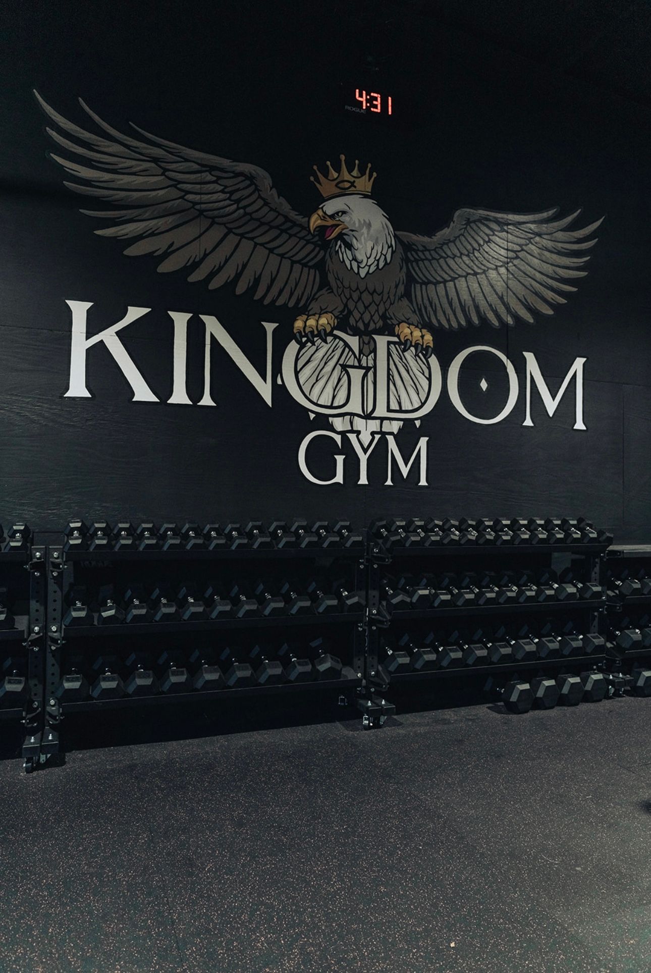 Kingdom Gym logo with eagle and dumbbell racks. Black and white color scheme. Gym interior.