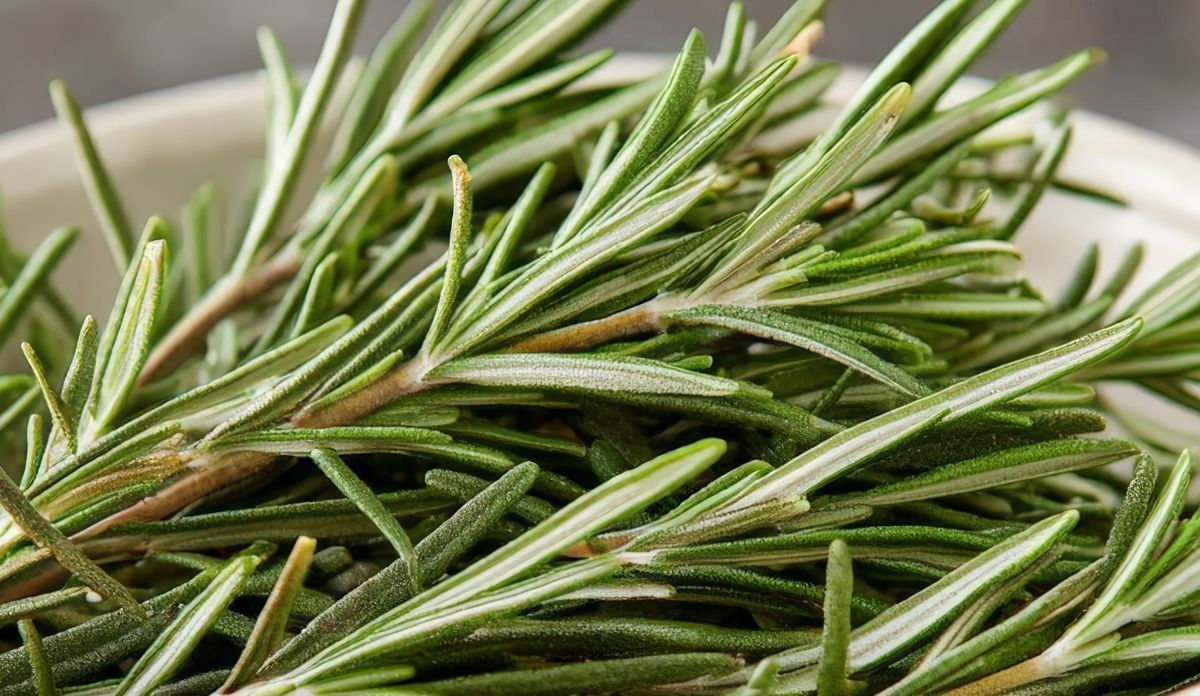 Herbs & Spices