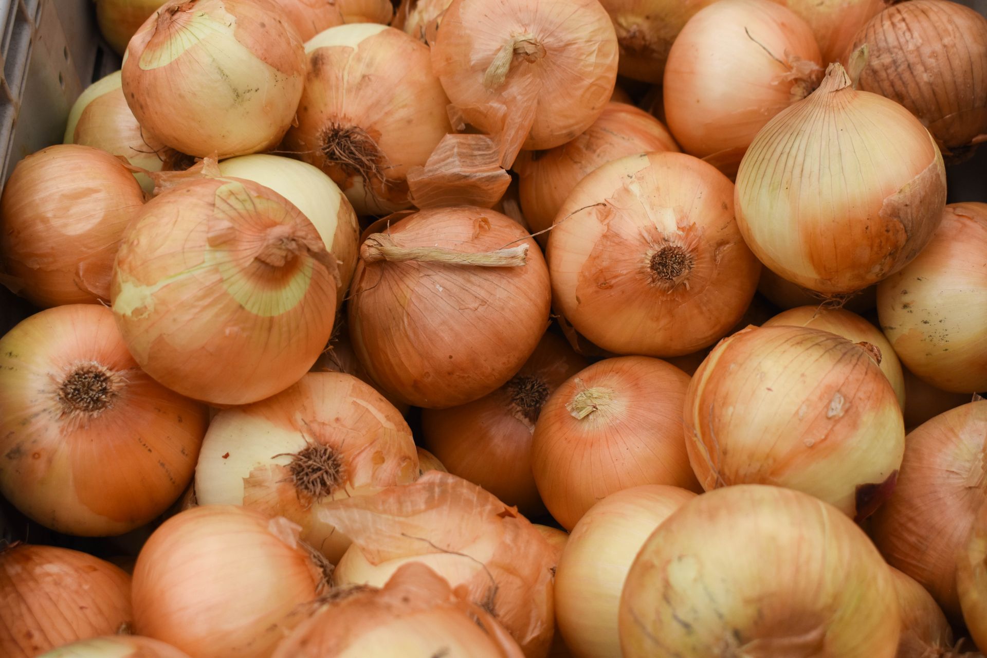 Onions Strong Cooking