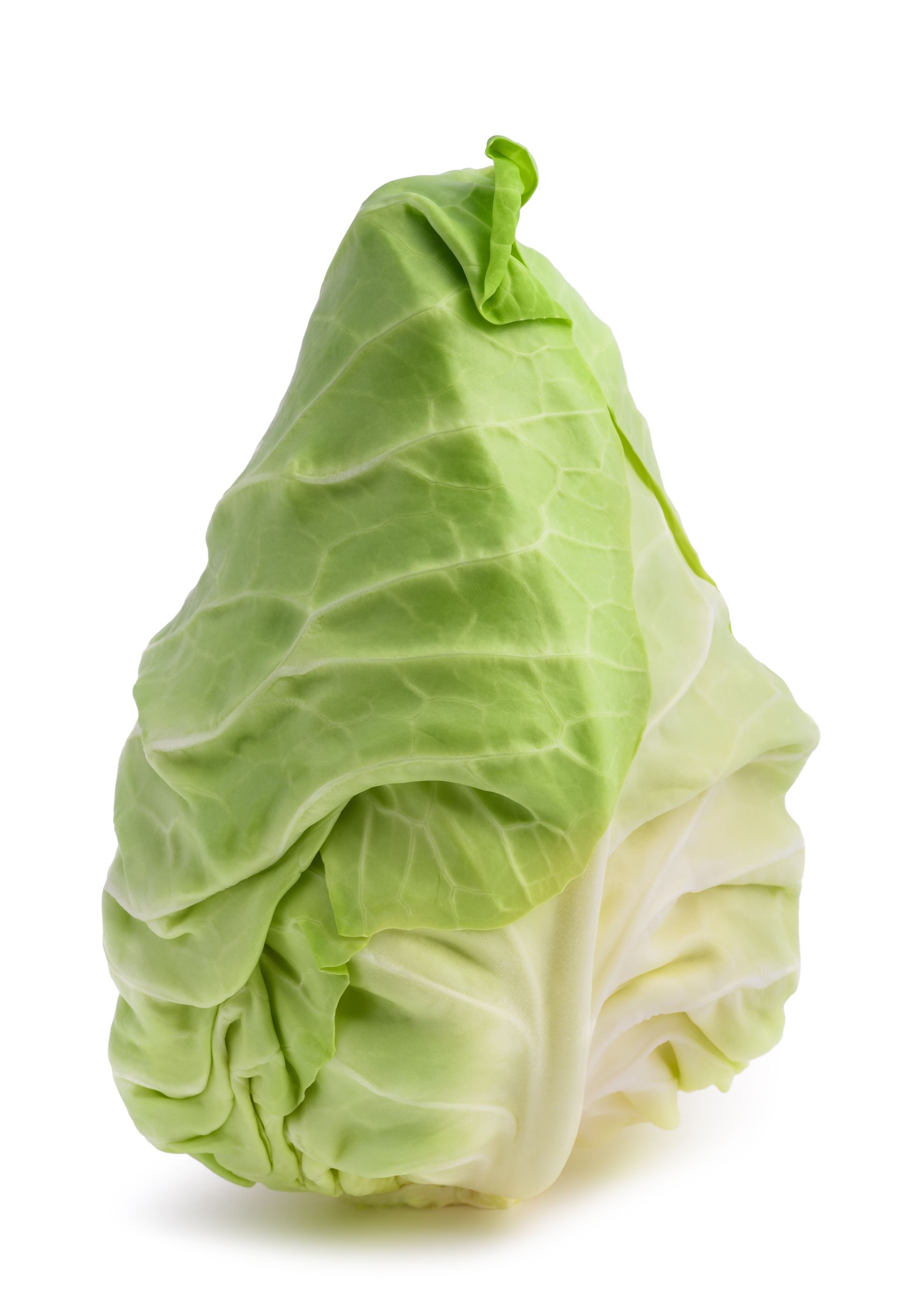 Sweetheart Cabbage