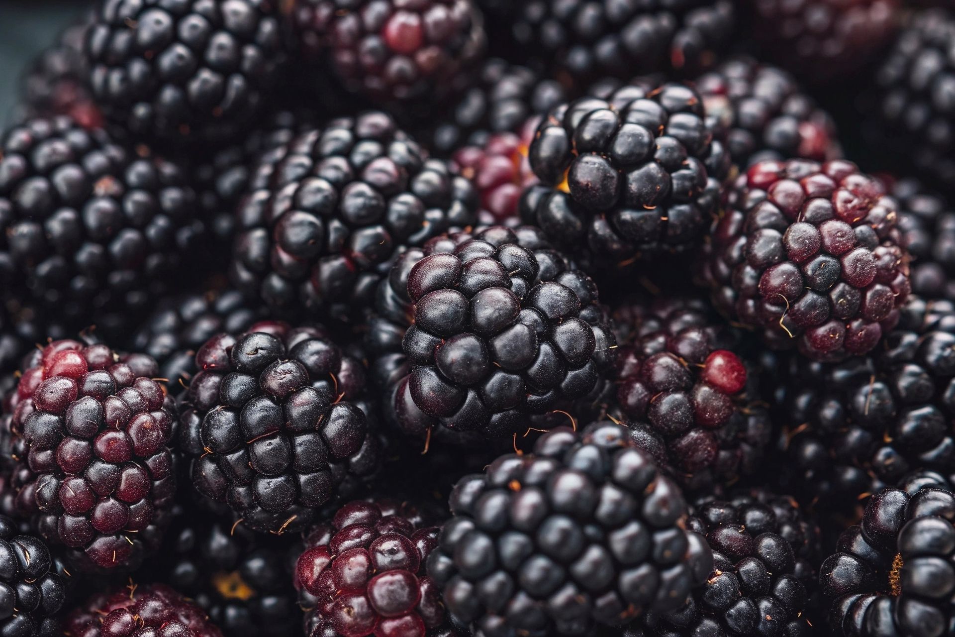 Blackberries