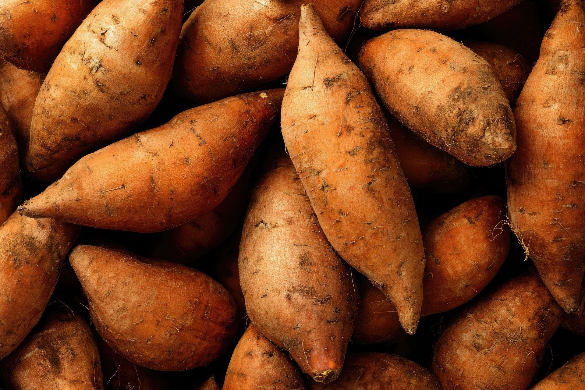 Sweet Potato