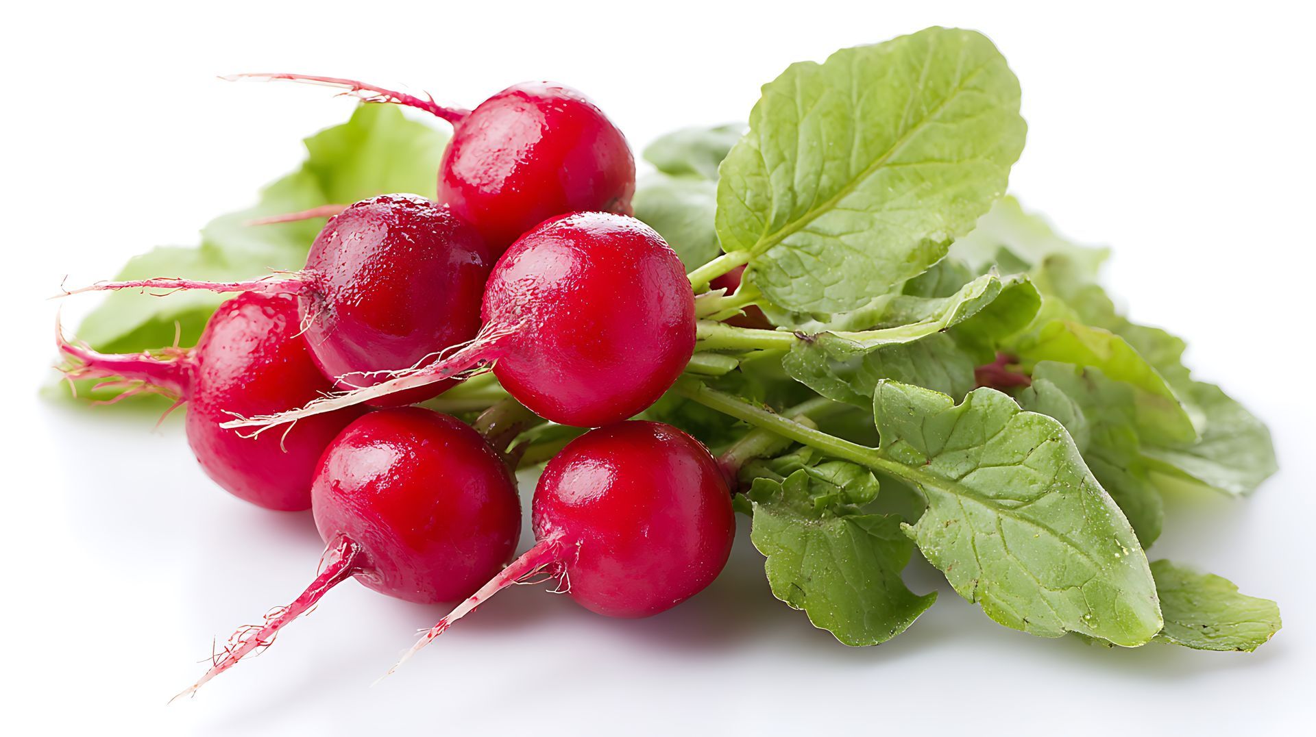 Radishes