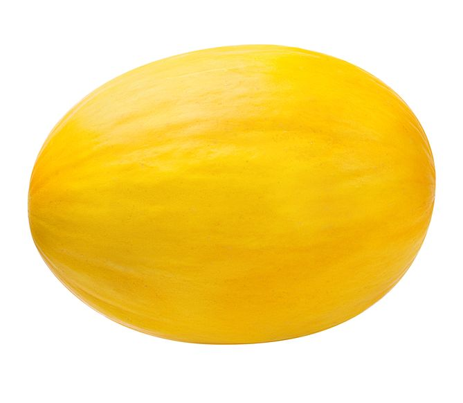 Honeydew Melon