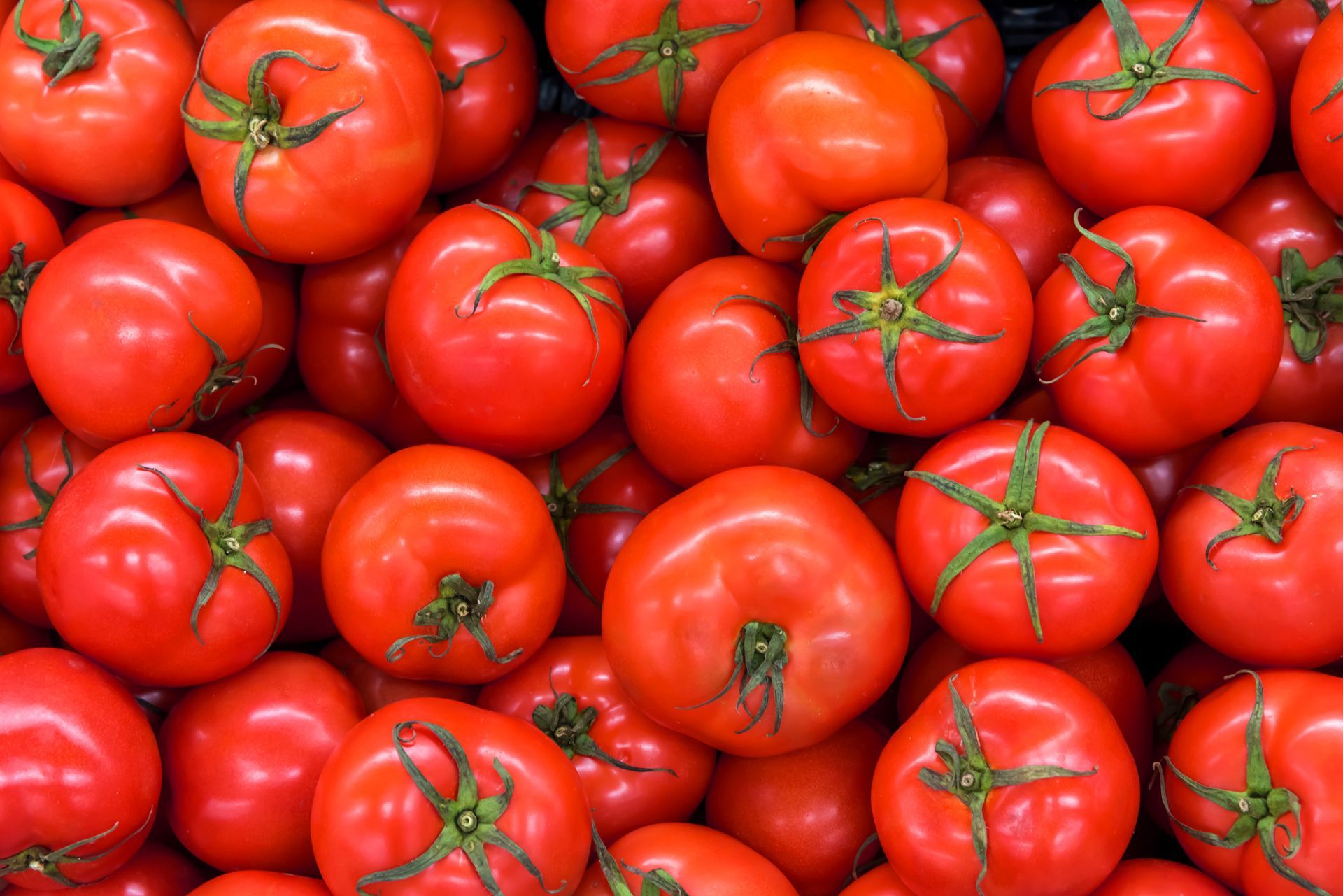 Tomatoes Local Grown
