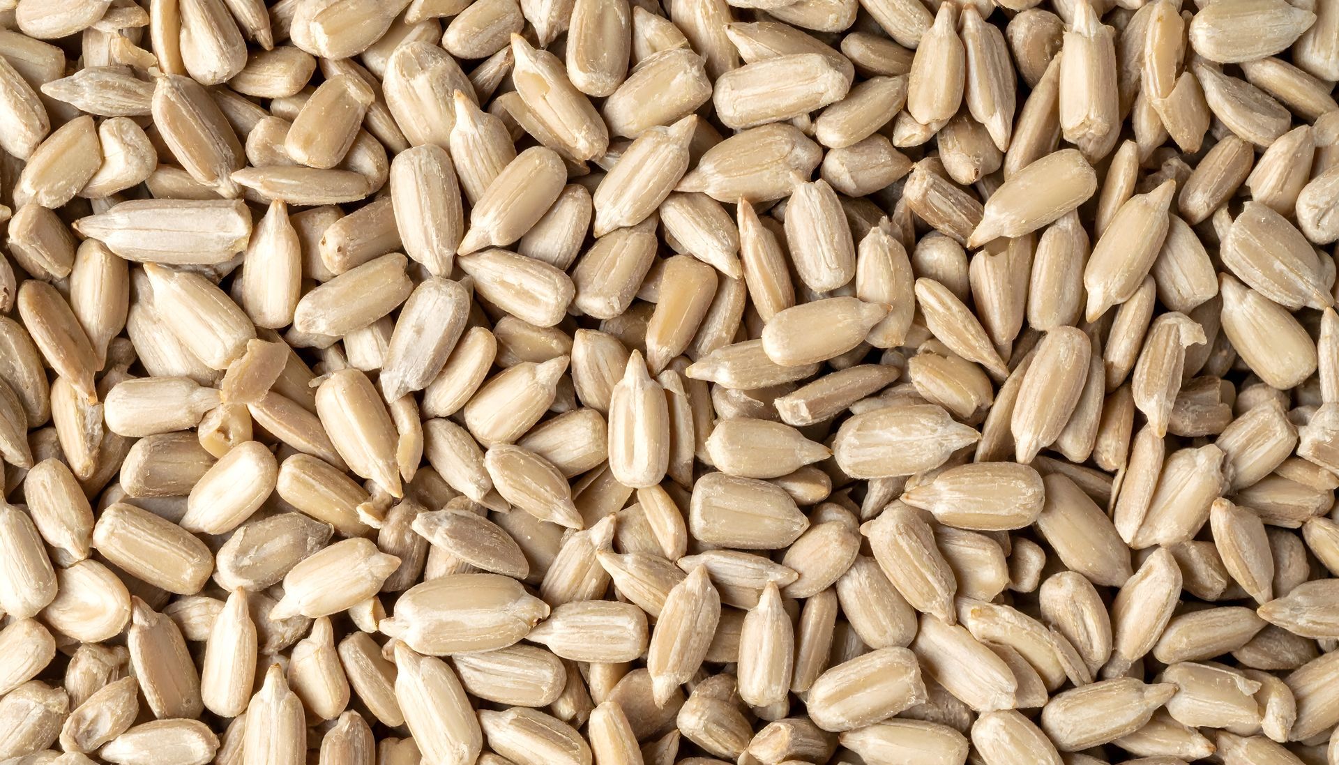 Sunflower Hearts