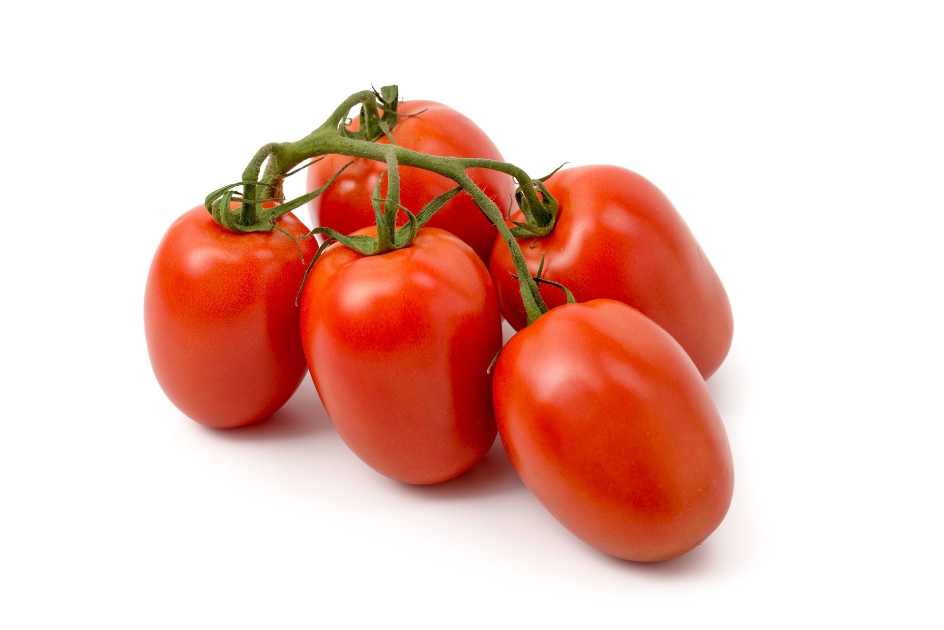 Tomatoes Plum