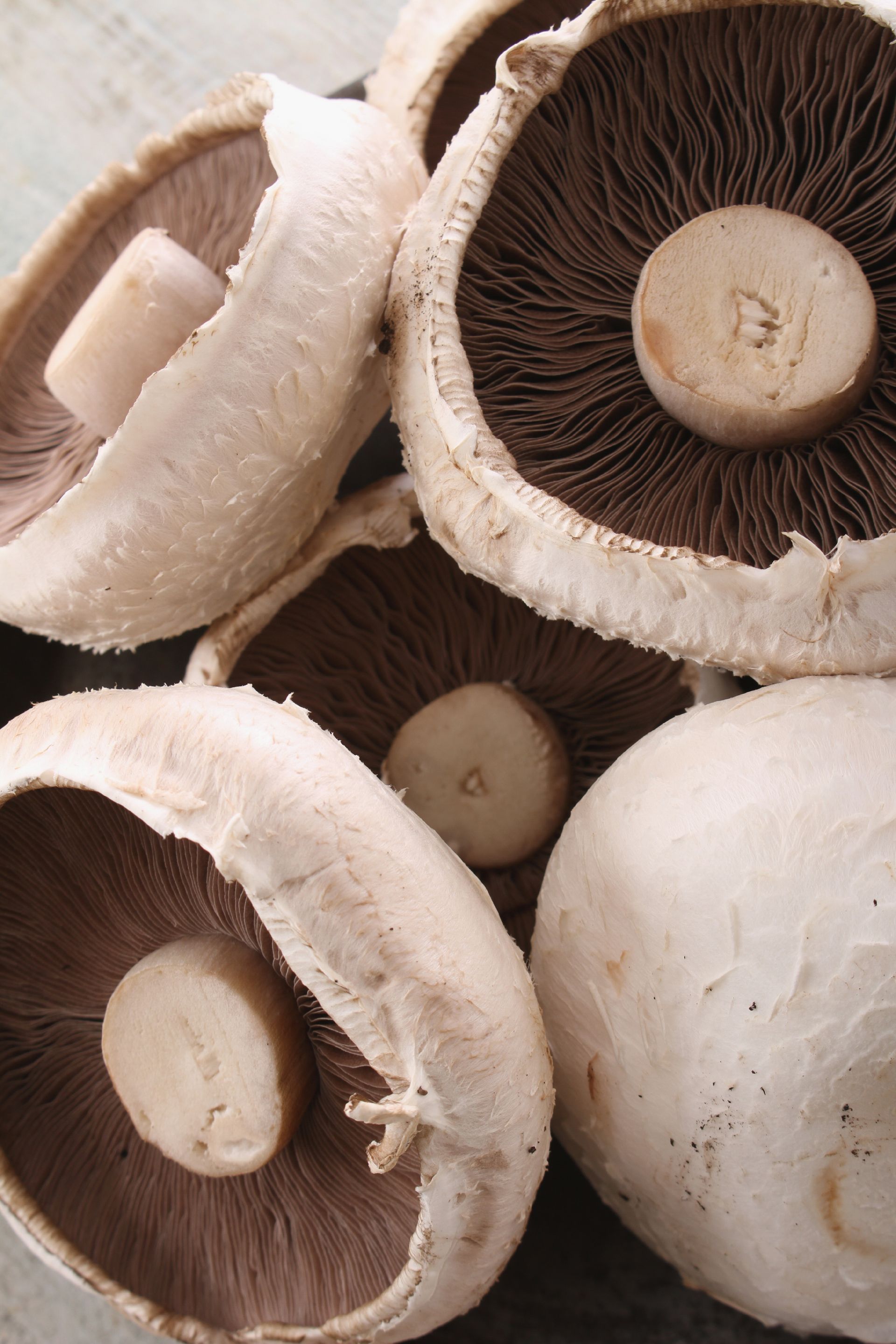'Breakfast' Flat Mushrooms