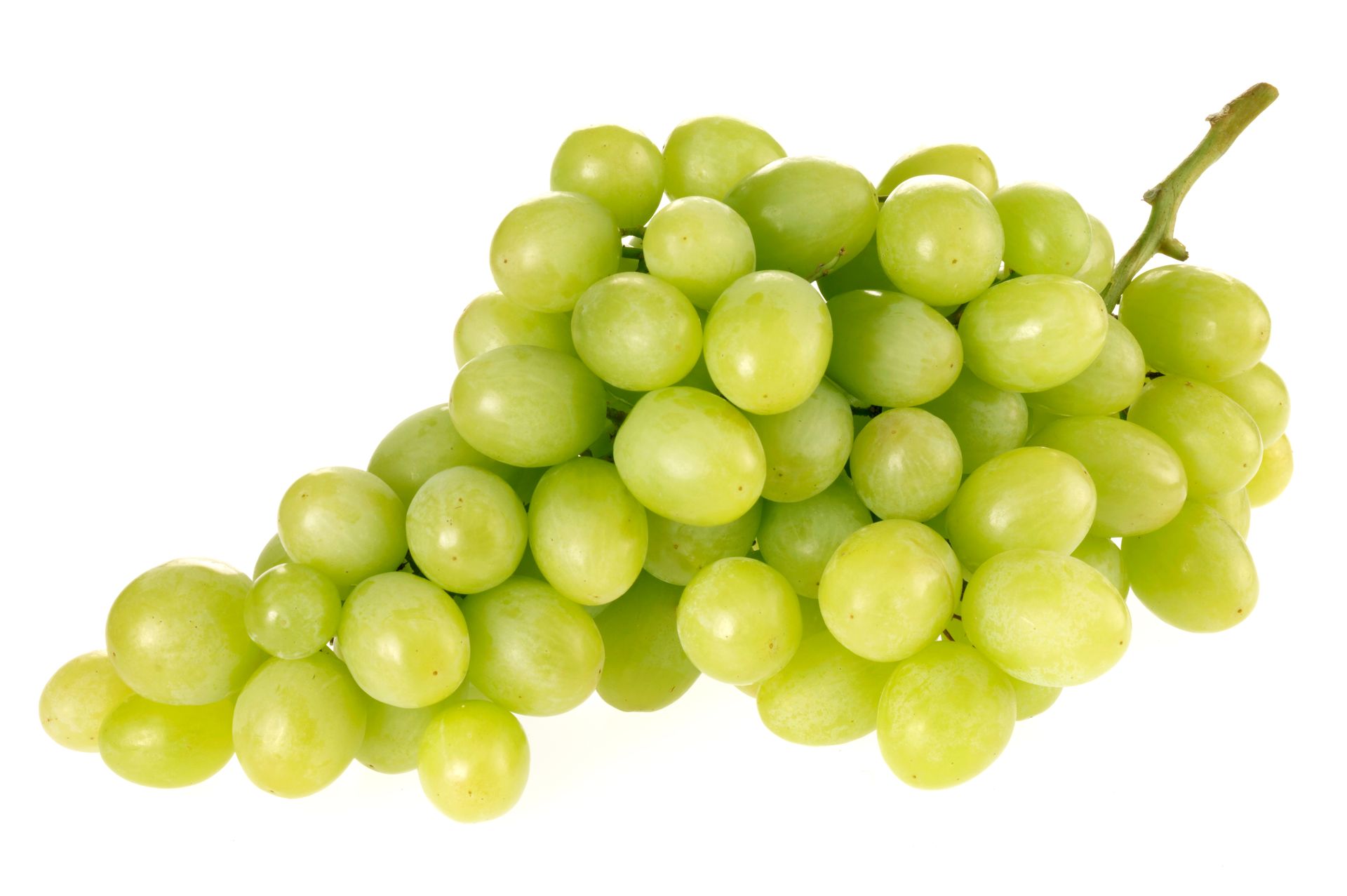 Green Seedless Grapes
