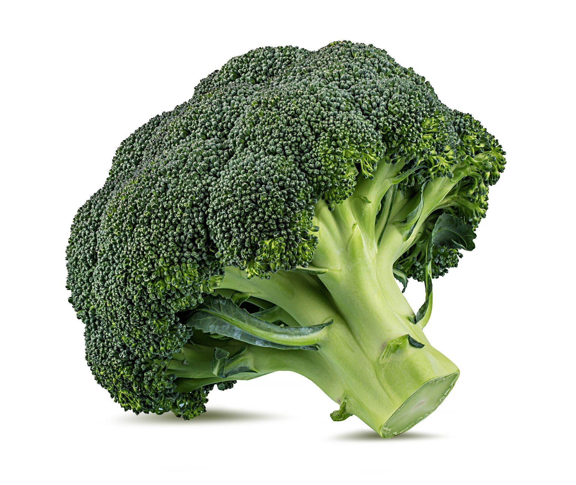 Green Broccoli (Calabrese)