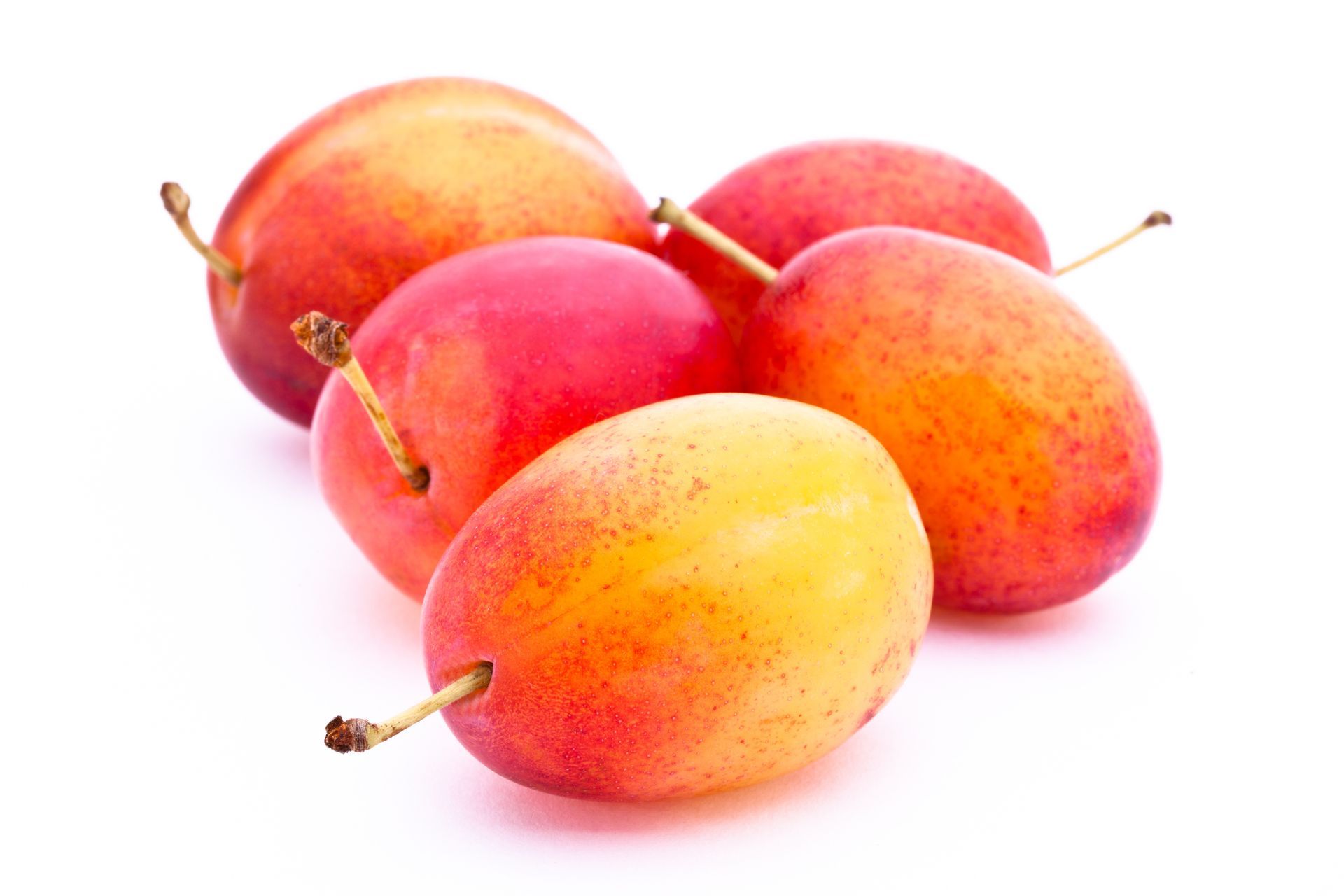 Victoria plums