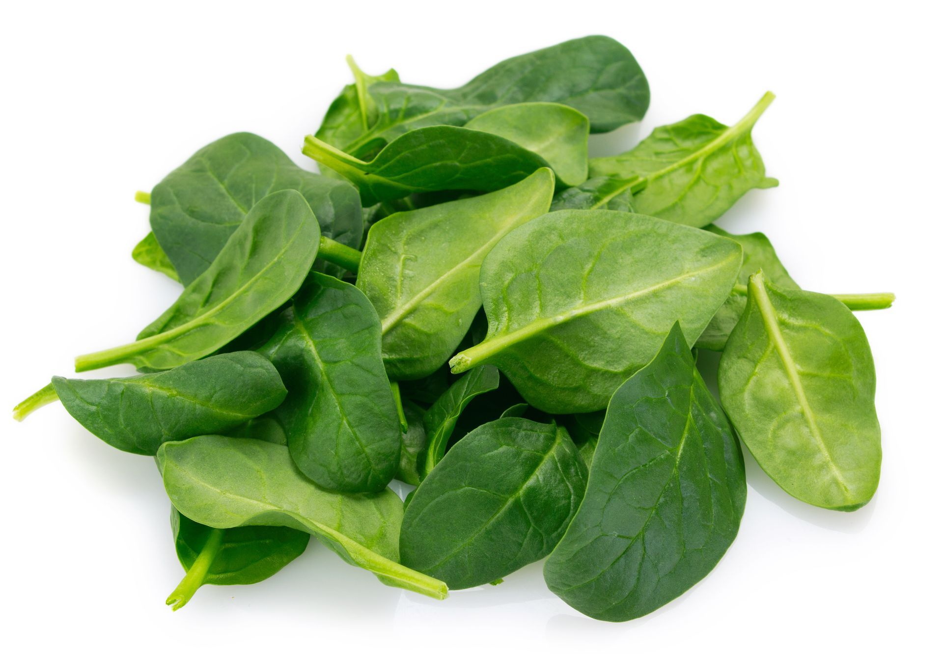 Spinach Baby Leaf