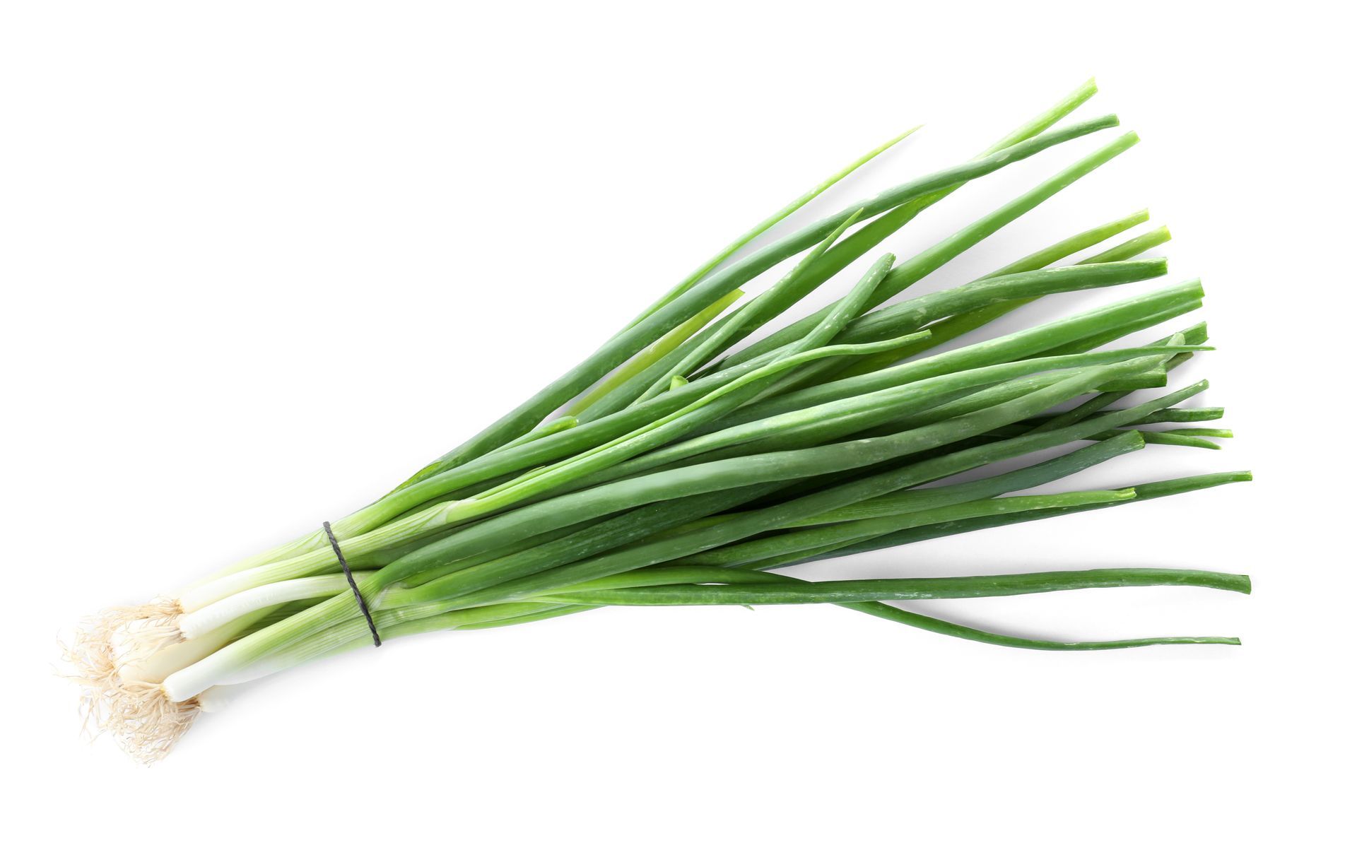 Spring Onions