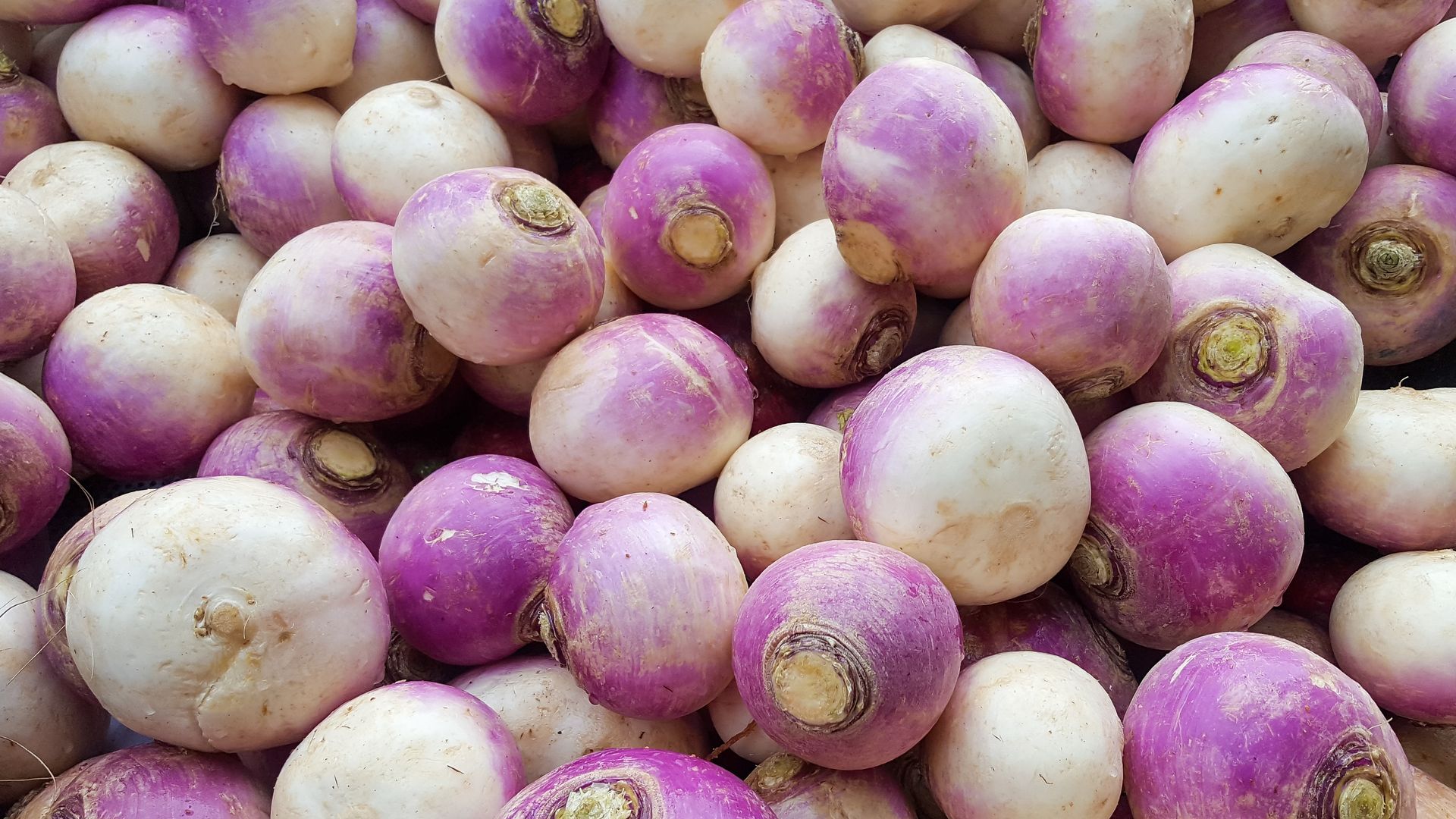 White Turnips