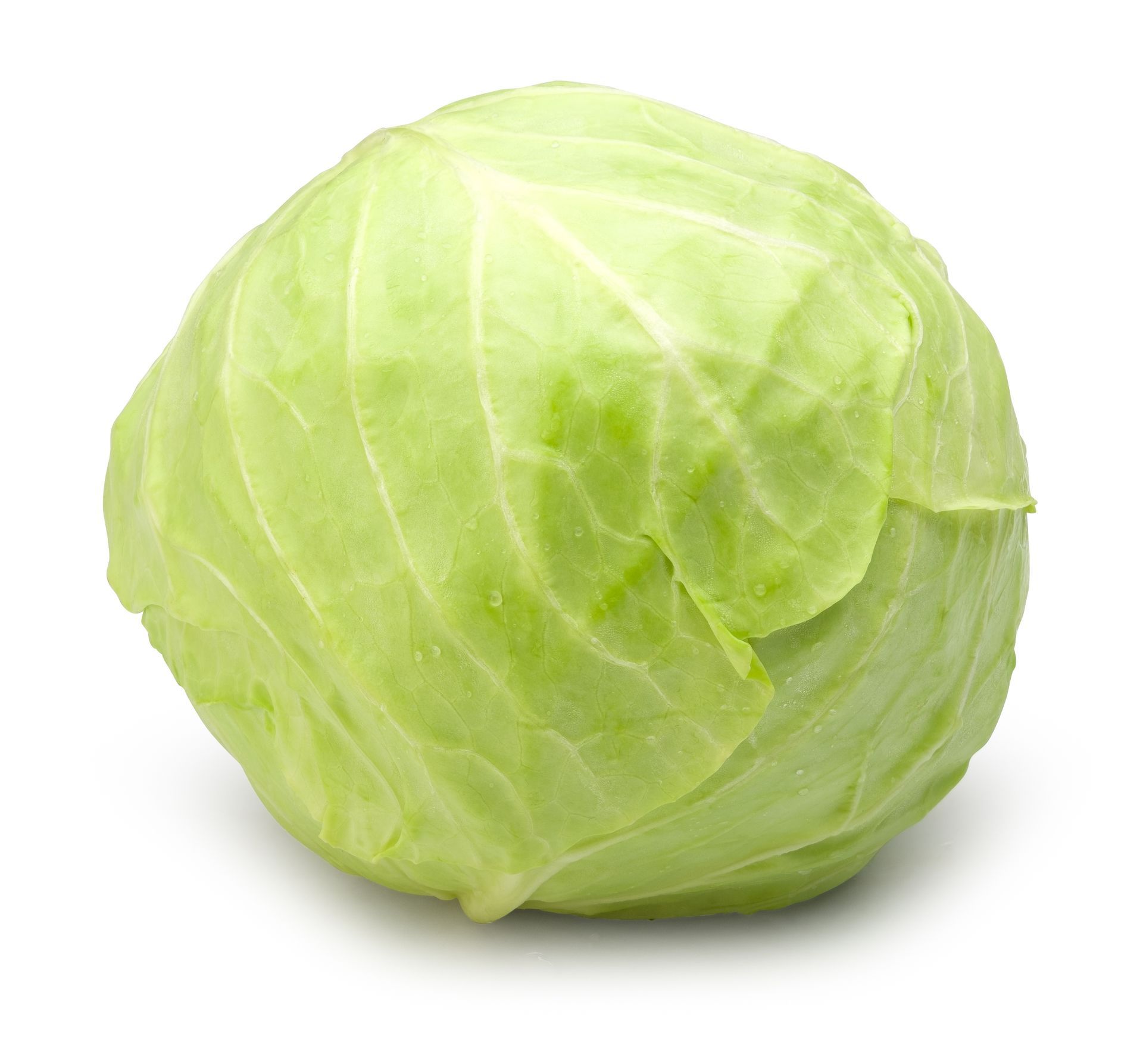White Cabbage
