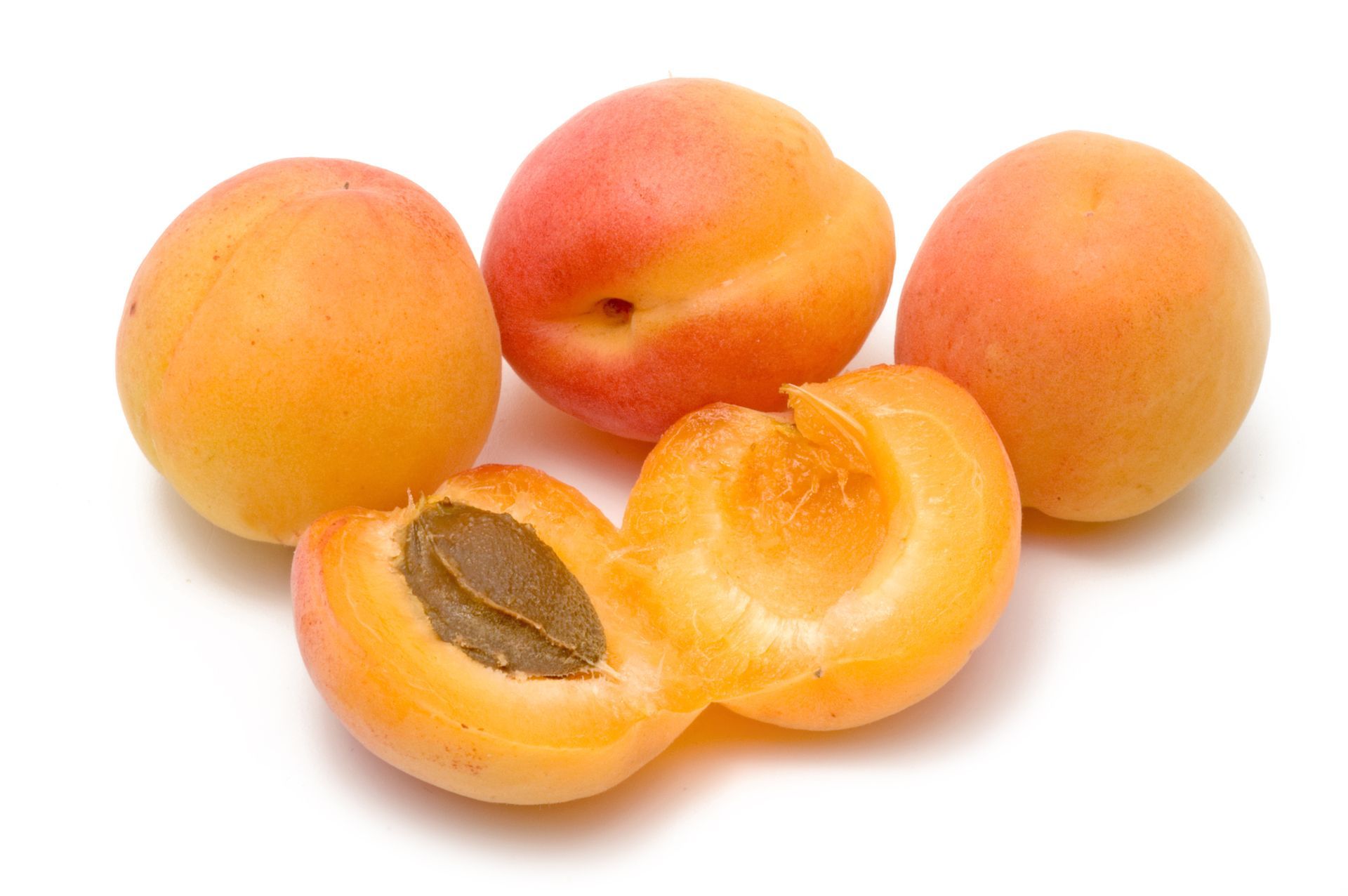 Apricot