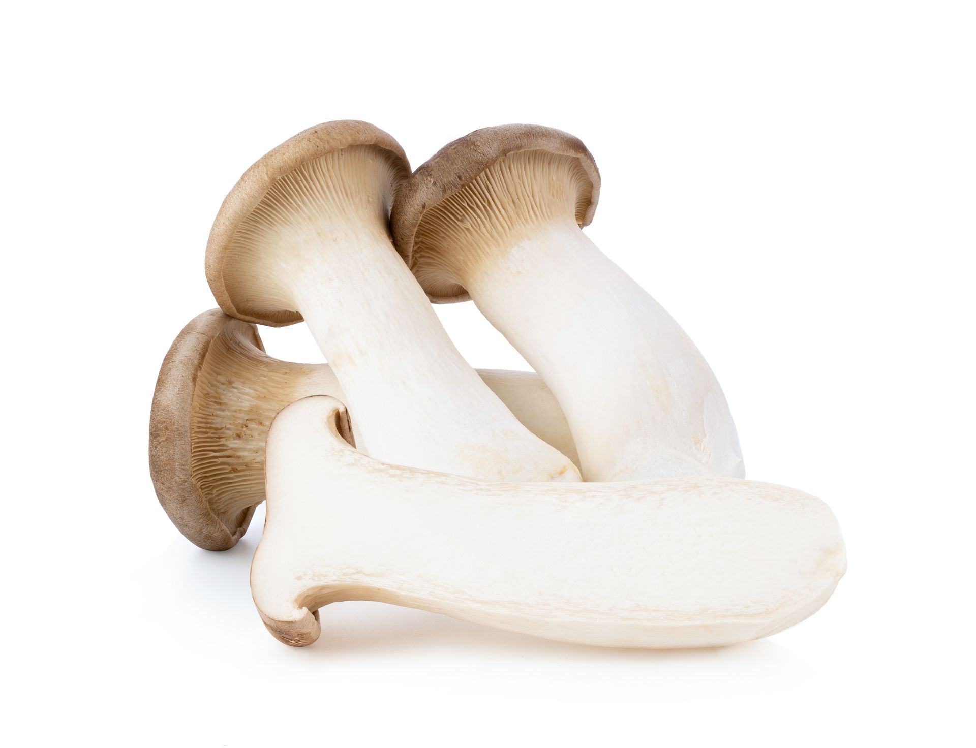 King Oyster Mushrooms