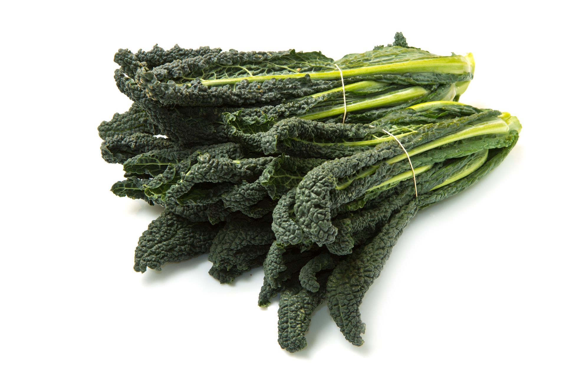 Cavelo Nero (Black Kale)