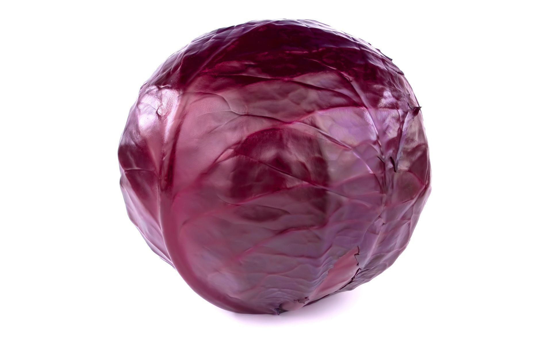 Red Cabbage