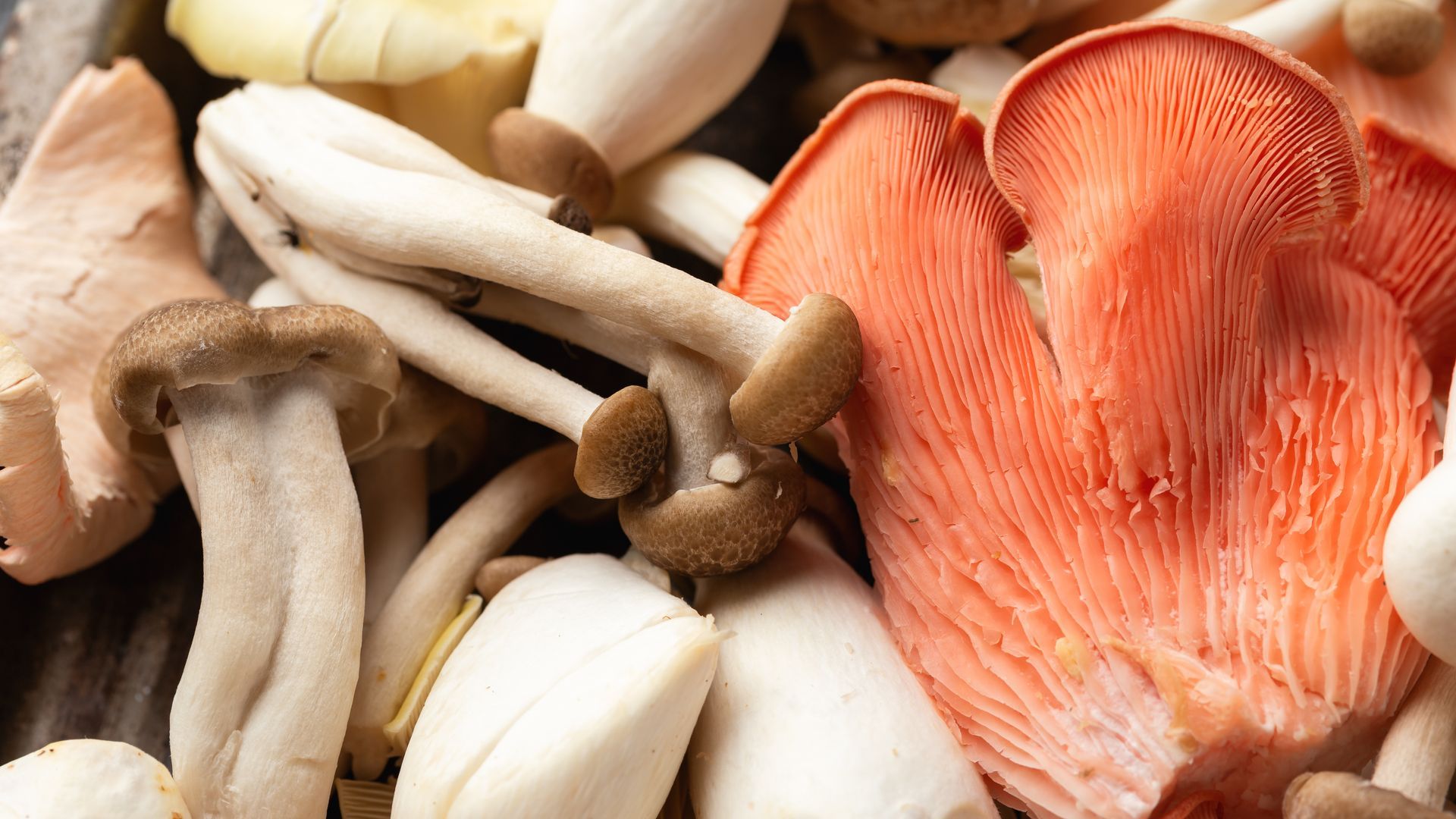 Exotic Mushroom Mix