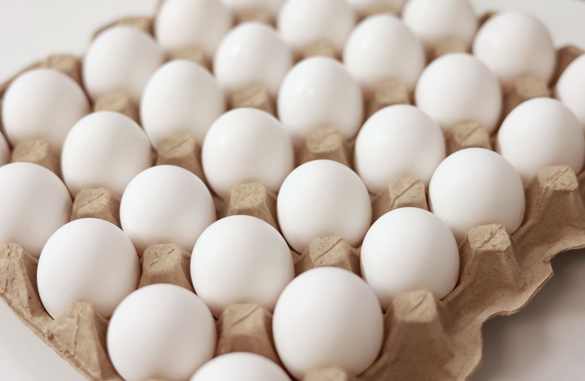 White Eggs