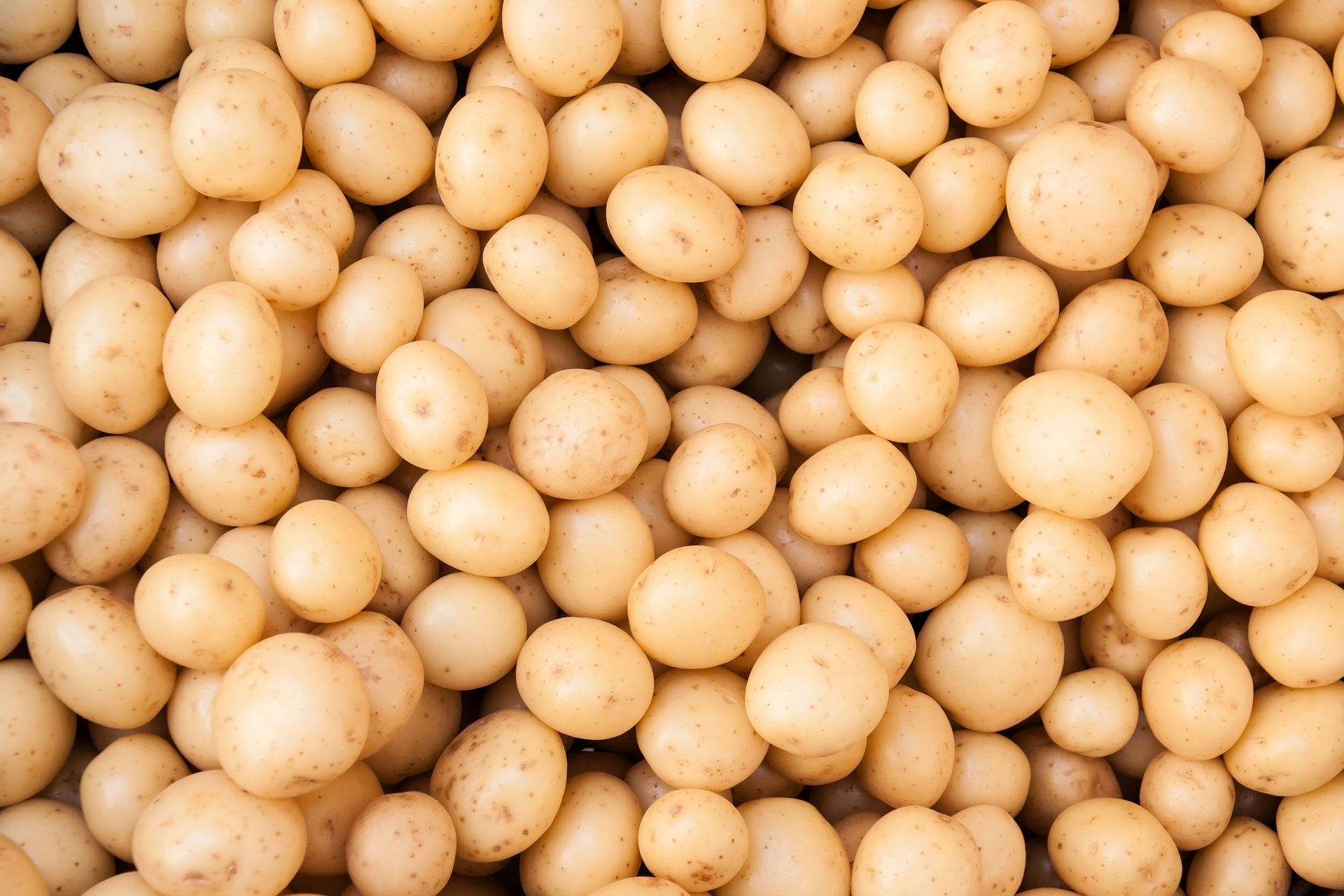 Maris Peer New Potatoes