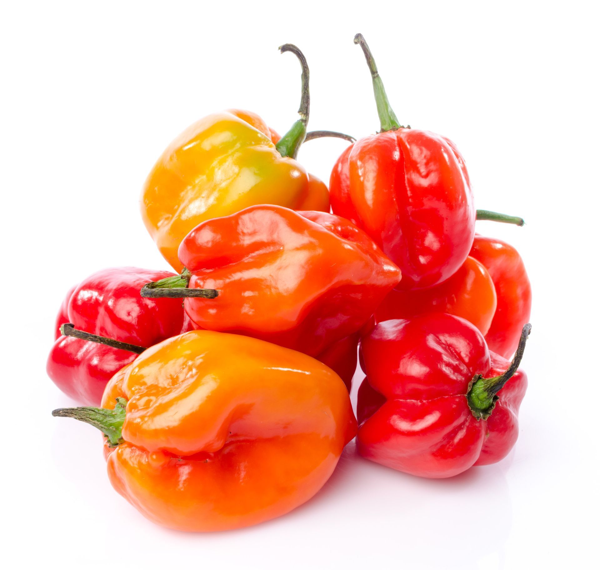 Chilli Habenero