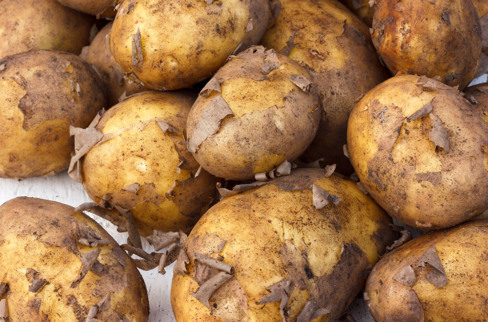 Scraping Potatoes