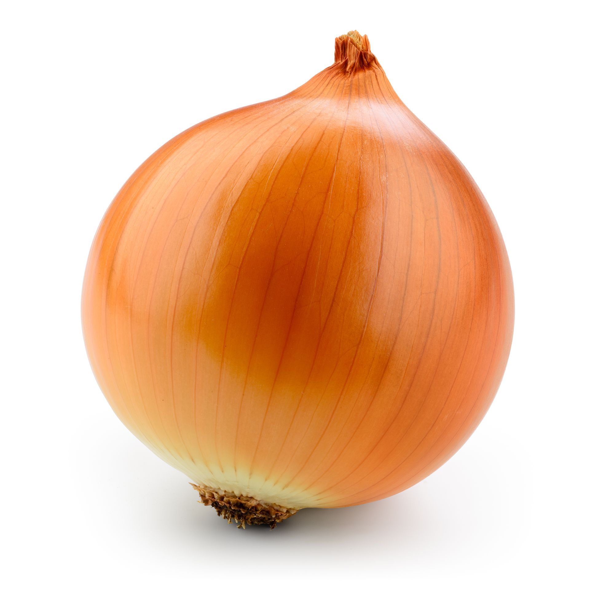 Onions Large Mild