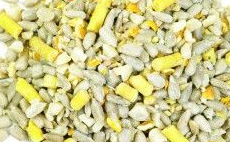 High Energy Bird Seed Mix