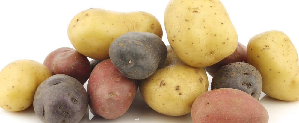 Organic Produce