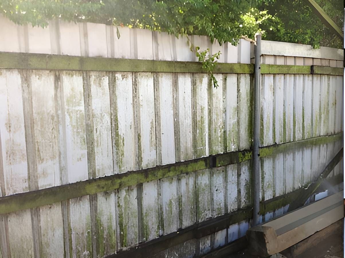 A White Fence With Green Moss Growing On It — EcoPro Pressure Cleaning In Broadbeach, QLD
