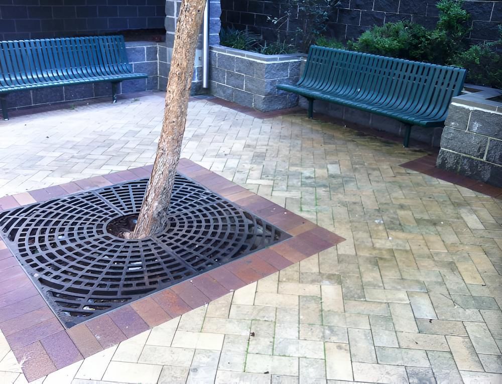A Tree Is Surrounded By A Metal Grate In A Park — EcoPro Pressure Cleaning In Burleigh, QLD