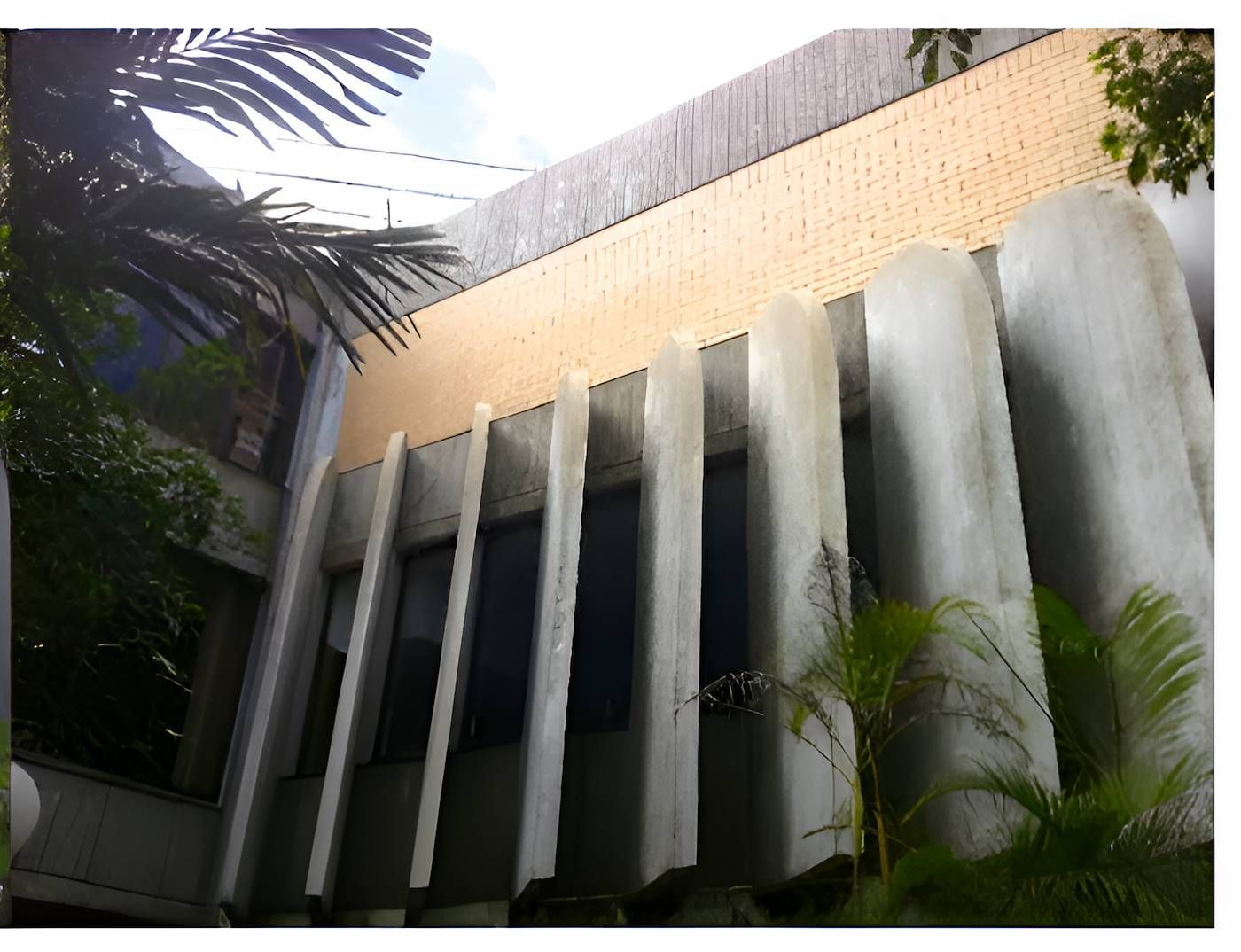 A Building With A Lot Of Windows Is Surrounded By Palm Trees — EcoPro Pressure Cleaning In Broadbeach Waters, QLD