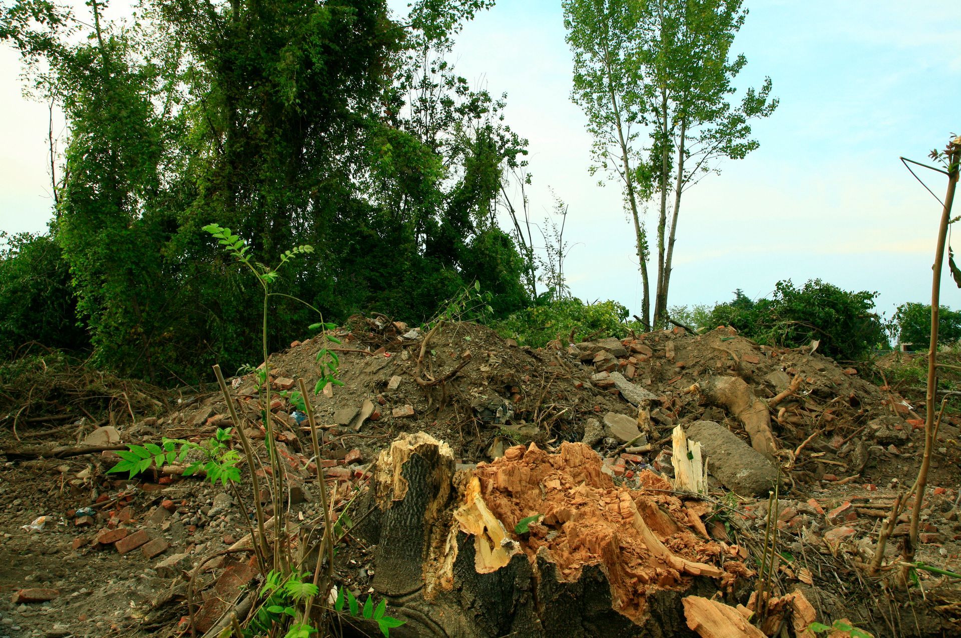 A pile of dirt and rocks with trees in the background A pile of dirt and rocks with trees in the background