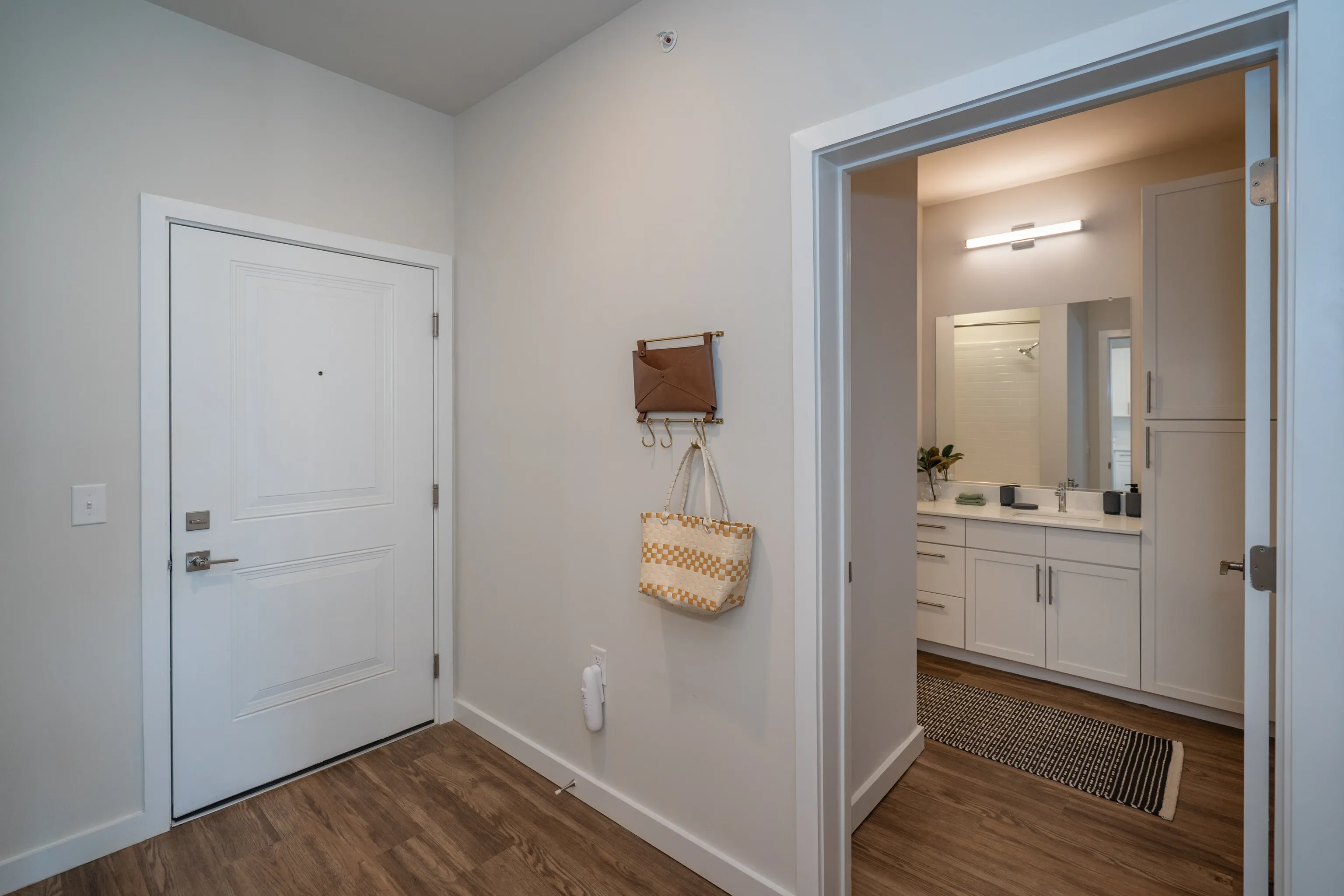 Entranceway to an apartment with a white door and a glimpse of a bathroom.