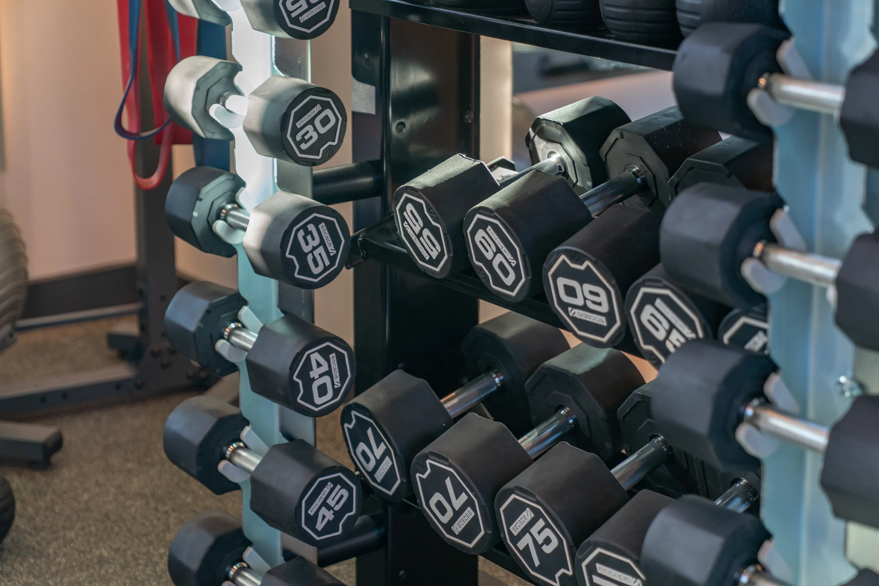 Rack of dumbbells in a fitness center.