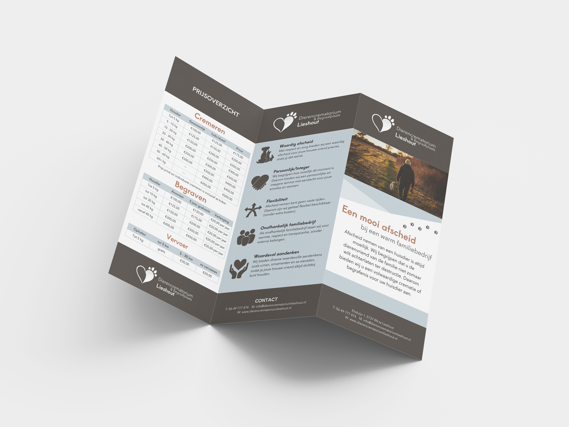 DcL Flyer