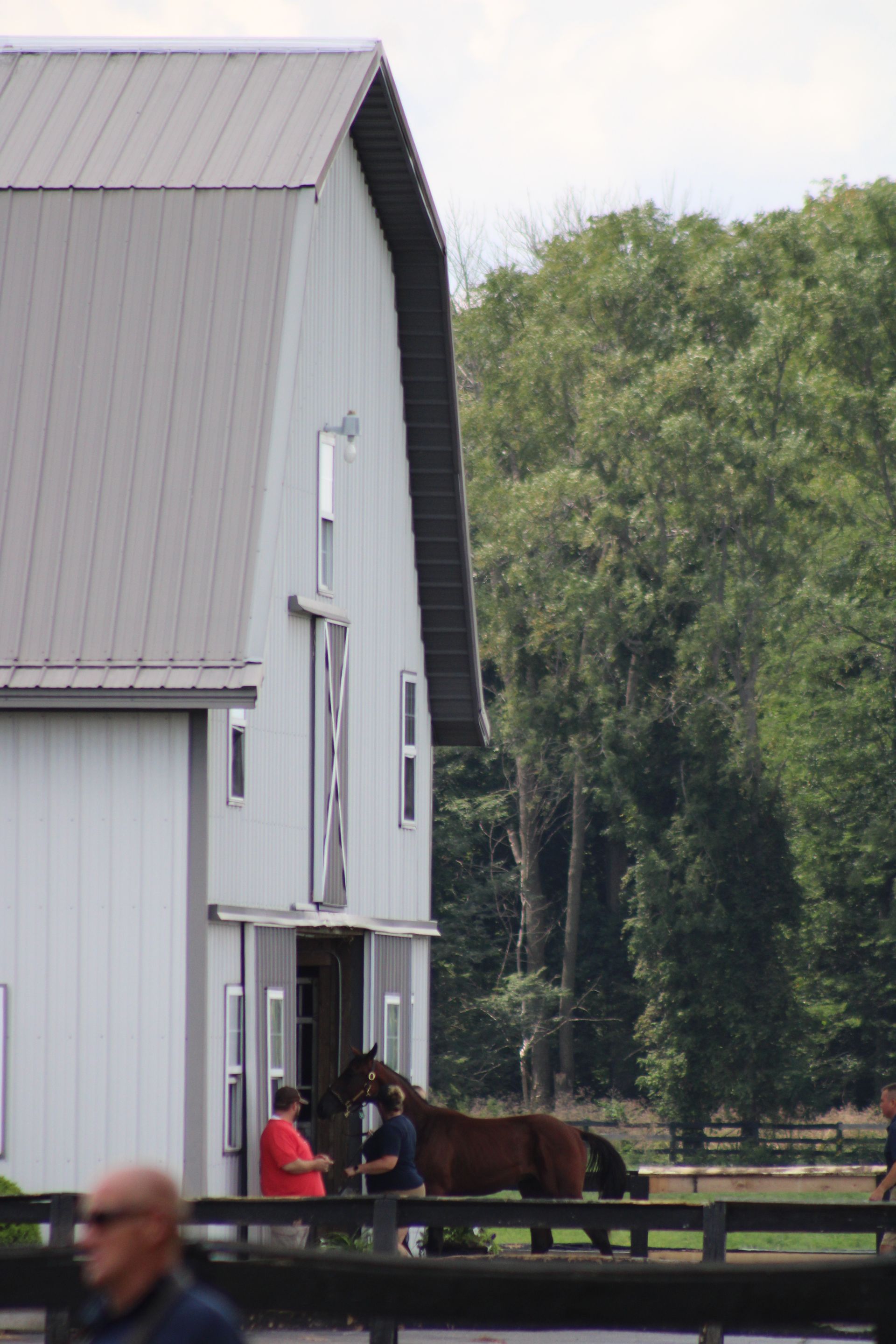 Land Of Lincoln Standardbred Sales Co. Gallery